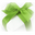 Icona di Bossanet.ru