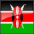 Icon of Kiswahili Spell Checker