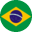 Icon of Brazilian Portuguese Dictionary (New Spelling)