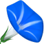 Icon of fenleik
