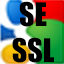 Ikona Google (SE, SSL)