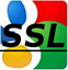 Значок Google Suid-Afrika SSL AF