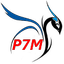 Icona di P7MON