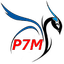 Icon of P7MON