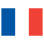 France - All-in-one Internet Search (SSL & TLS) 的图标