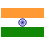 Icon of India - All-in-one Internet Search (SSL & TLS)