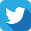 Icono de Twitter - All-in-one Internet Search (SSL & TLS)
