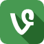 Icono de Vine - All-in-one Internet Search (SSL & TLS)