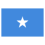 Icono de Somalia - All-in-one Internet Search (SSL & TLS)