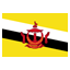 Icon of Brunei - All-in-one Internet Search (SSL & TLS)