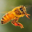Icon of BeeFree
