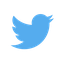 Icon of Twitter Account Search