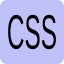 Icon of CustomCSS