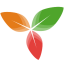 Icon of TriliumClipper
