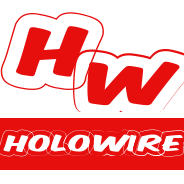 HoloWireNet