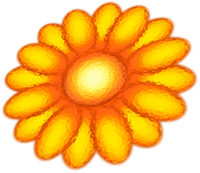 sunflowercosmos