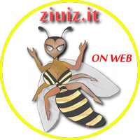 Ziuiz.it